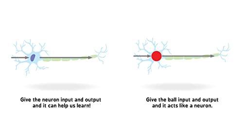 Neural Networks for Babies: Teach Babies and Toddlers about Artificial Intelligence and the Brain from the #1 Science Author for Kids (Science Gifts for Little Ones) (Baby University)