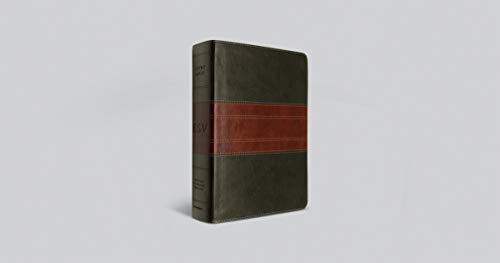 ESV Study Bible (TruTone, Forest/Tan, Trail Design)