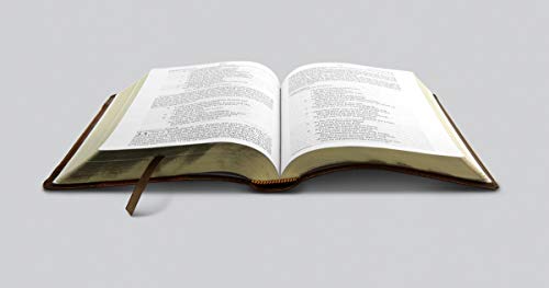 ESV Single Column Thinline Bible (TruTone, Brown/Cordovan, Portfolio Design)