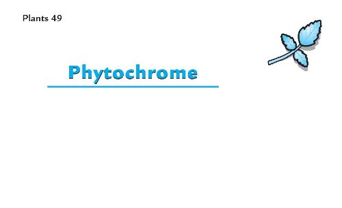 Barron's AP Biology Flash Cards