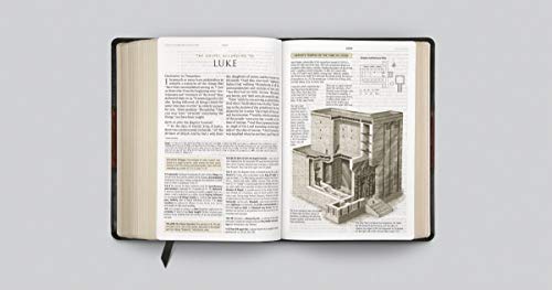 ESV Study Bible (TruTone, Forest/Tan, Trail Design)