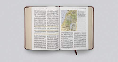 ESV Study Bible (TruTone, Walnut, Celtic Imprint Design)