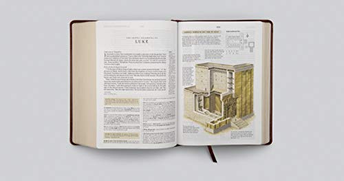 ESV Study Bible (TruTone, Walnut, Celtic Imprint Design)