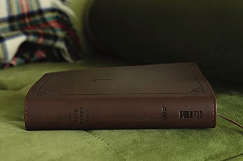 NIV, Teen Study Bible, Compact, Leathersoft, Brown