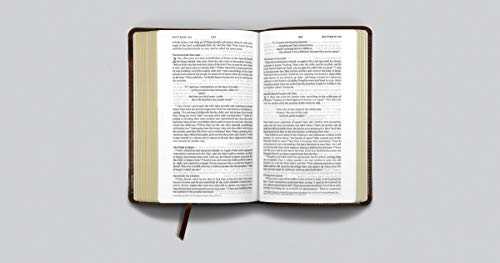 ESV Single Column Thinline Bible (TruTone, Brown/Cordovan, Portfolio Design)