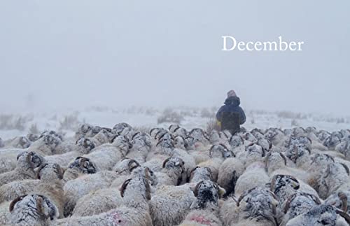 Celebrating the Seasons with the Yorkshire Shepherdess: Farming, Family and Delicious Recipes to Share (4)