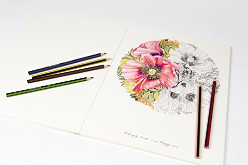 Floribunda: A Flower Coloring Book