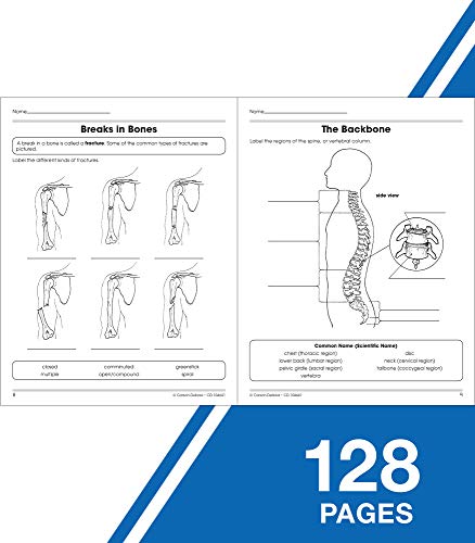 Carson Dellosa The 100+ Series: Human Body Workbook―Grades 5-8 Science Book, Human Anatomy, Bones, Muscles, Organs, the Nervous System, Health and Nutrition (128 pgs) (Volume 13)