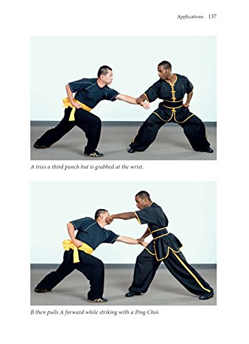 The Power of Shaolin Kung Fu: Harness the Speed and Devastating Force of Southern Shaolin Jow Ga Kung Fu