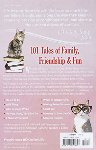 Chicken Soup for the Soul: Life Lessons from the Cat: 101 Tales of Family, Friendship and Fun