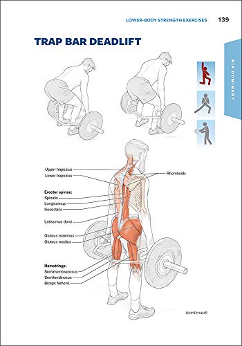 Functional Training Anatomy