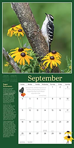 Audubon Birds in the Garden Wall Calendar 2022