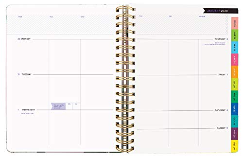 Stay Golden 17-Month Large Planner with 1000+ Stickers 2019-2020 (Pipsticks+Workman)