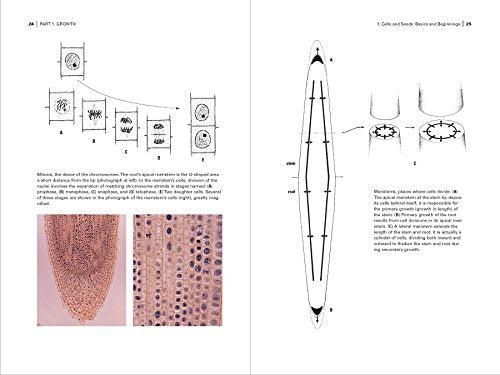 Botany for Gardeners, 3rd Edition