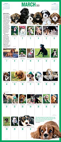 365 Puppies-A-Year Picture-A-Day Wall Calendar 2021