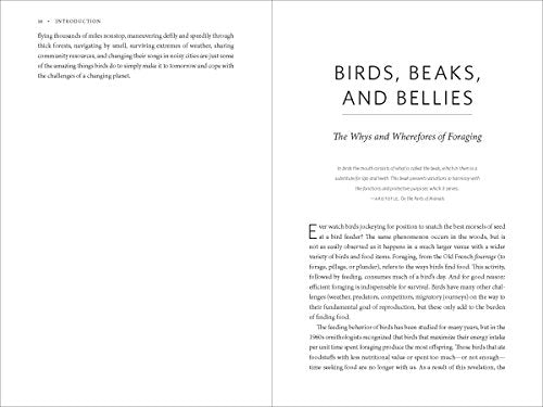 Beaks, Bones and Bird Songs: How the Struggle for Survival Has Shaped Birds and Their Behavior