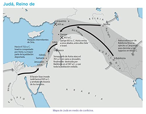 Diccionario enciclopédico bíblico ilustrado (Spanish Edition)