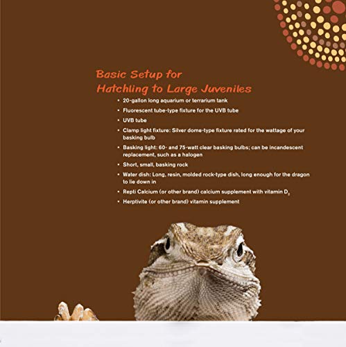 The Bearded Dragon Manual, 2nd Edition: Expert Advice for Keeping and Caring for a Healthy Bearded Dragon (CompanionHouse Books) Habitat, Heat, Diet, Behavior, Personality, Illness, FAQs, & More