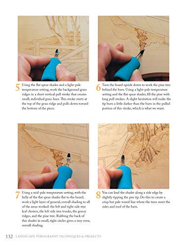 Landscape Pyrography Techniques & Projects: A Beginner's Guide to Burning by Layer for Beautiful Results (Fox Chapel Publishing) Woodburning Textured, Lifelike Scenes in Layers, with Lora S. Irish