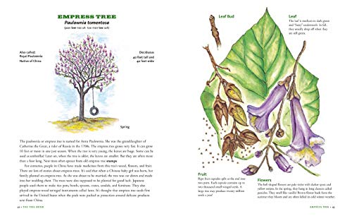 The Tree Book for Kids and Their Grown-Ups