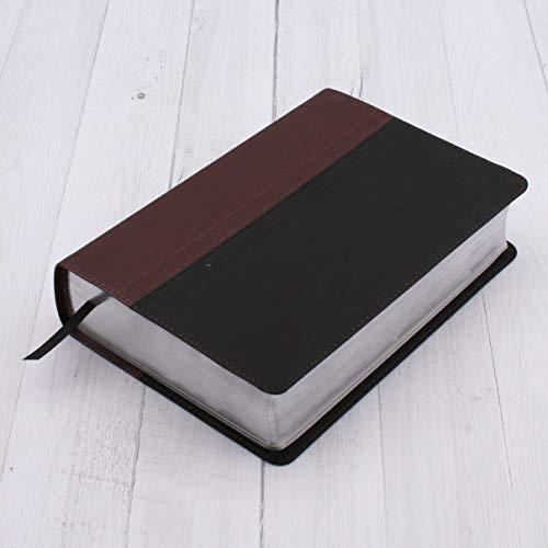 NIV Study Bible, Leathersoft, Brown/Black, Red Letter Edition