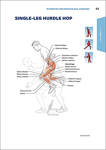 Functional Training Anatomy