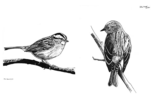 Slow Birding: The Art and Science of Enjoying the Birds in Your Own Backyard