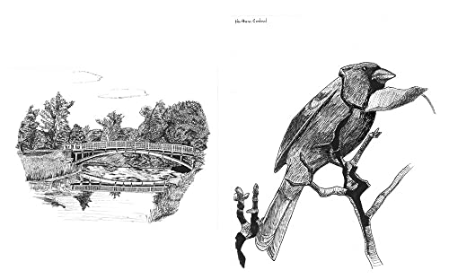 Slow Birding: The Art and Science of Enjoying the Birds in Your Own Backyard