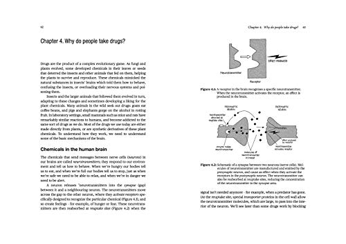 Drugs without the hot air: Making sense of legal and illegal drugs