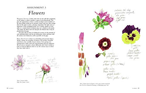 Botanical Sketchbook: Drawing, Painting And Illustration For Botanical Artists