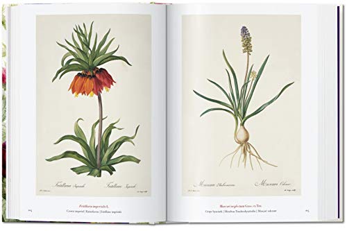 Redouté. Book of Flowers: The Complete Plates