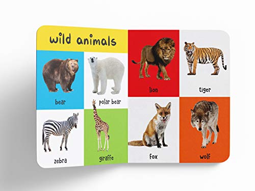 My First 4 In 1 One Wild Animals, Pet and Farm Animals, Birds, Sea Animals: Padded Board Books