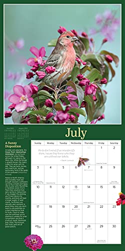 Audubon Birds in the Garden Wall Calendar 2022