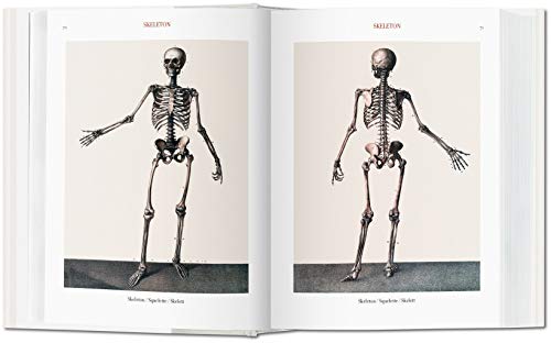 Bourgery. Atlas of Human Anatomy and Surgery