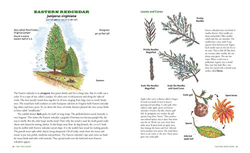 The Tree Book for Kids and Their Grown-Ups