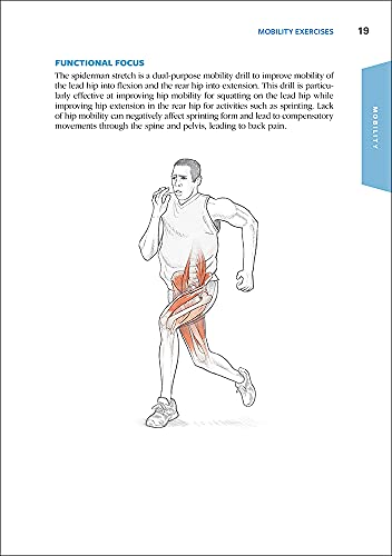 Functional Training Anatomy