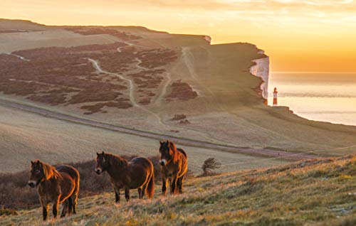 Countryfile – A Picture of Britain: A Stunning Collection of Viewers’ Photography