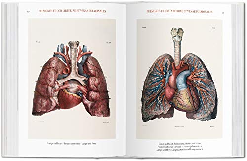 Bourgery. Atlas of Human Anatomy and Surgery