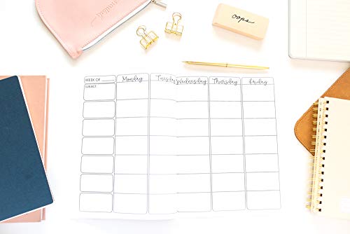 Lesson Planner for Teachers: Weekly and Monthly Teacher Planner | Academic Year Lesson Plan and Record Book with Floral Cover (July through June) (2019-2020 Lesson Plan Books for Teachers)