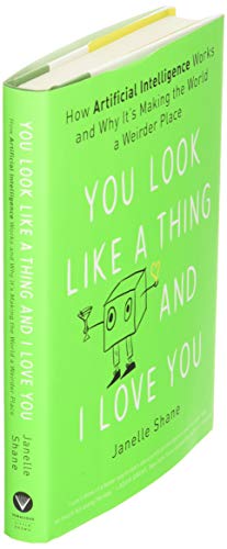 You Look Like a Thing and I Love You: How Artificial Intelligence Works and Why It's Making the World a Weirder Place