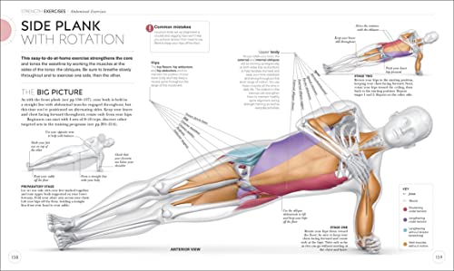 Science of Strength Training: Understand the anatomy and physiology to transform your body (DK Science of)