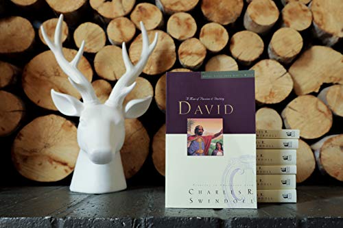 Great Lives: David: A Man of Passion and Destiny (Great Lives from God's Word)