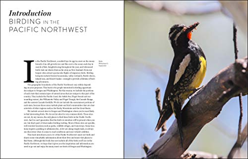 Must-See Birds of the Pacific Northwest: 85 Unforgettable Species, Their Fascinating Lives, and How to Find Them