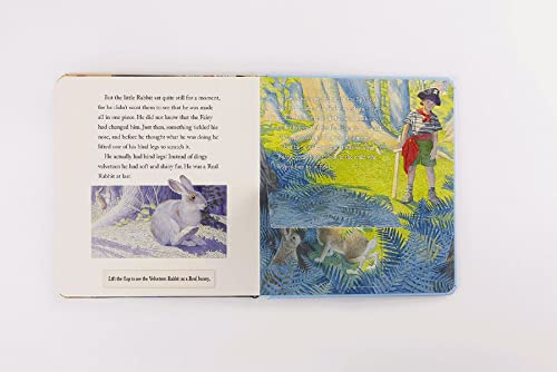 The Velveteen Rabbit Touch and Feel Board Book: The Classic Edition