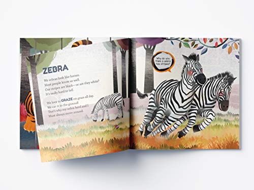 Zoo: Illustrated Book On Zoo Animals