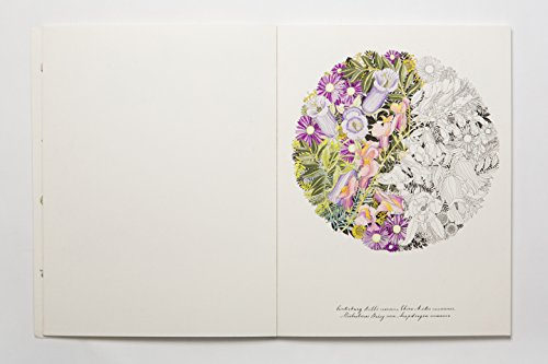 Floribunda: A Flower Coloring Book