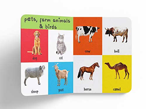 My First 4 In 1 One Wild Animals, Pet and Farm Animals, Birds, Sea Animals: Padded Board Books