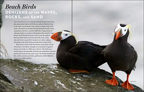 Must-See Birds of the Pacific Northwest: 85 Unforgettable Species, Their Fascinating Lives, and How to Find Them