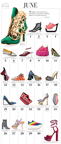 365 Days of Shoes Picture-A-Day Wall Calendar 2022: A Year of Gorgeous, Chic, Sexy, Classic, and Avant Garde Footwear.