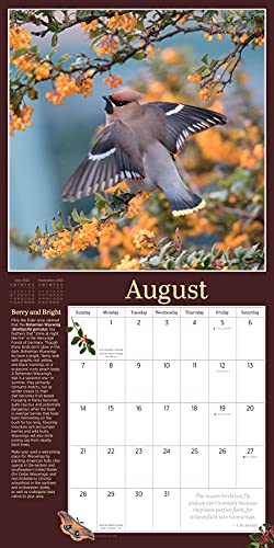 Audubon Birds in the Garden Wall Calendar 2022